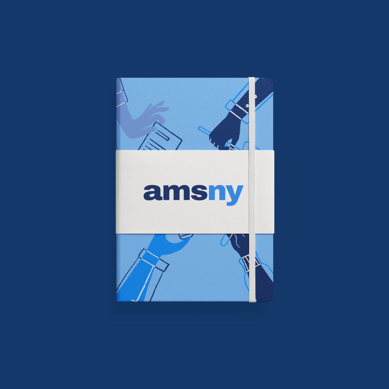 AMSNY Deliverable